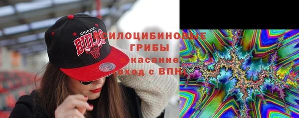 ешки Богородицк