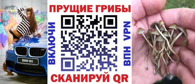 Галлюциногенные грибы ЛСД  Купить где  Воткинск 